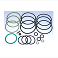 EV100 SEAL KIT SIZE 1 1/2 Detail Page